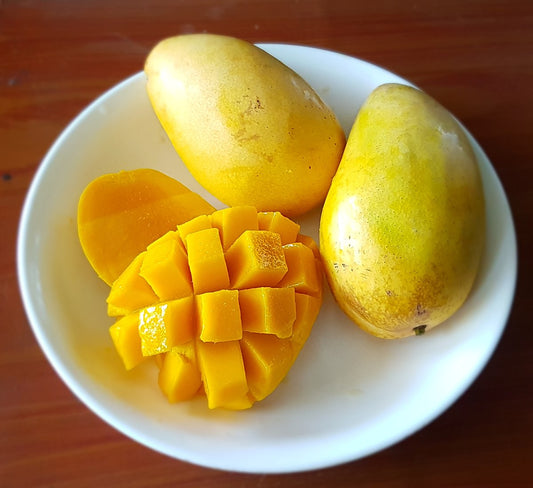MANGO